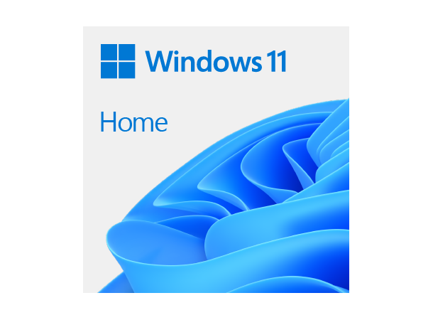 Microsoft® Windows 11 Home 64-bit Norsk, Single DSP 