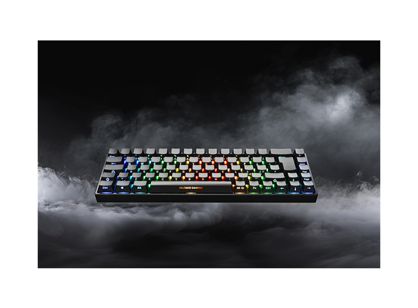 DELTACO GAMING DK440R Tastatur 65%, Trådløst, RGB, Sort 